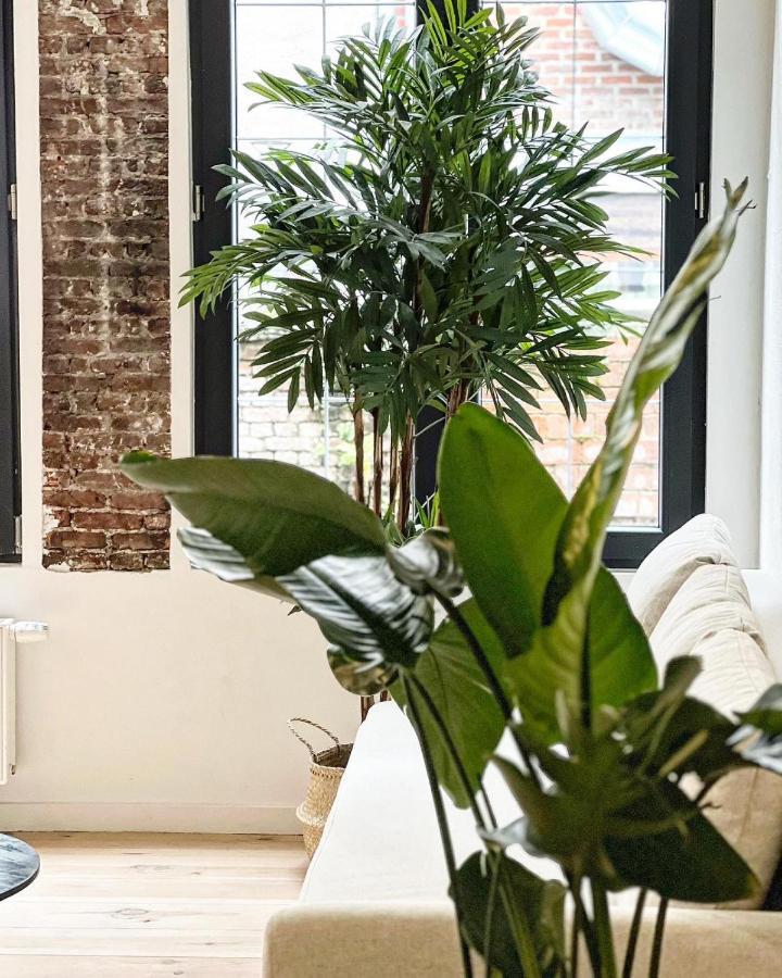 Gigi Home'S Antwerpen Exteriör bild